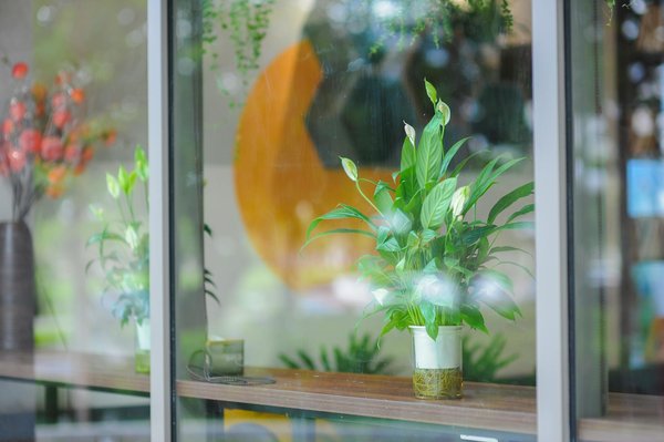 Languesanciennesetlettres